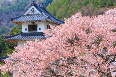 【高遠城】の日本100名城スタンプの設置場所は？ご城印はあるの？